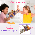 Механическая рука | 8-14 лет